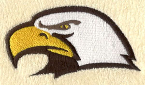 Eagle_3 embroidery digitizing sample