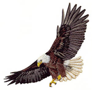 Eagle_4 embroidery digitizing sample
