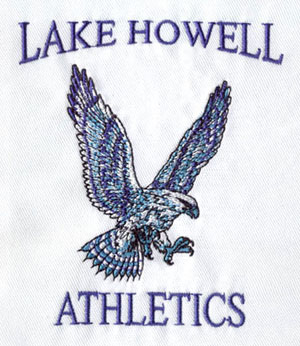 Eagle_1 embroidery digitizing sample