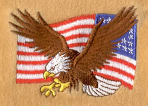 Eagle_7 embroidery digitizing sample