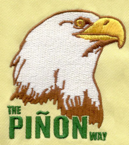 Eagle_5 embroidery digitizing sample