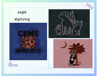 archivo para pecho izquierdo