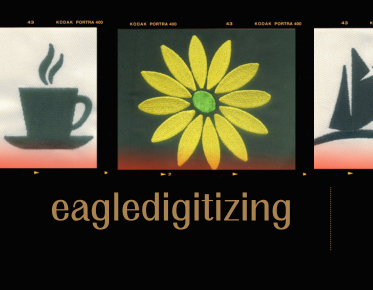 embroidery digitizing