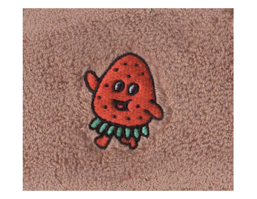 embroidery digitizing