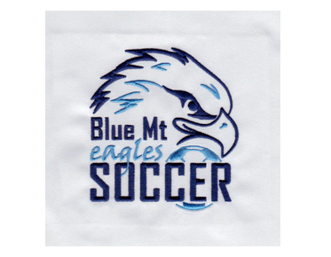 embroidery digitizing