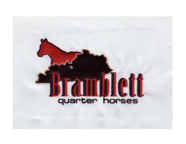 embroidery digitizing